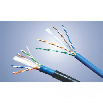 Cáp Mạng Tenda Cat5 1003H