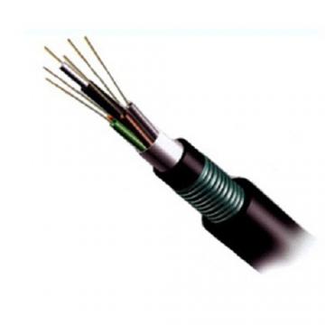 Cáp quang LT-DJBGEXX/BRN MX12XX(06T2.00)