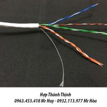 Cáp mạng vi tính Cat5e FTP-5E-100 