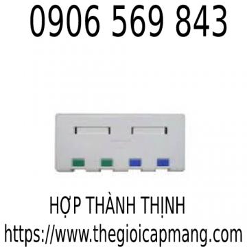 Hộp ổ cắm mạng LS-SMB-2PORT